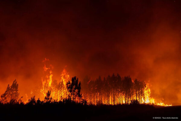 inencide-landes